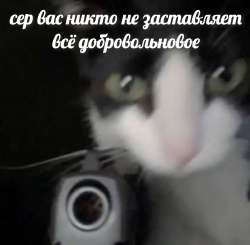 1664720122860.jpg