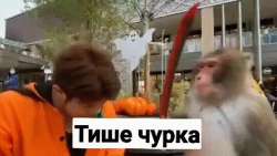 1664728209520.gif