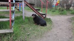 JzDtiiqmdEdlsIBM.mp4