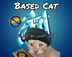 16614064136780.webm