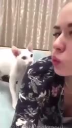249.webm