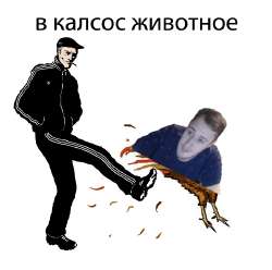 16645296793990.jpg