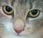 0799907B-E6B5-440F-BD6B-9A12C13AE775.jpeg