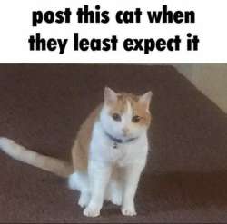 1664821913499.jpg