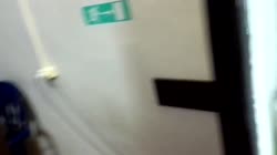 1544646223924.mp4