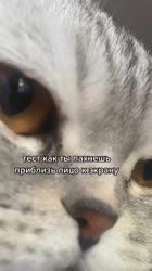 D8FE586B-2982-4A12-9AC3-898F5AE0F969.MP4