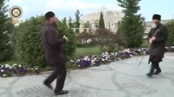 16425033296950.mp4
