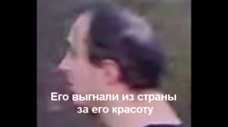 15932995329.mp4