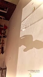494863EAB24FF732B58A2C77A155858Cvideodashinit.mp4