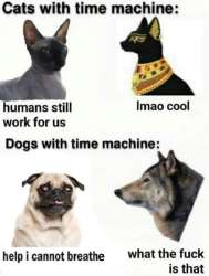 FfWefGJXEAAkS3T.jpg