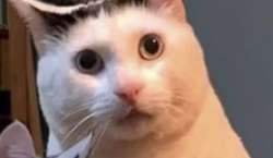 16527673925530[2].jpg