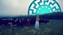16660124819431.webm