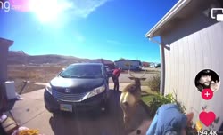 -50PqjLce3afe-vW.mp4