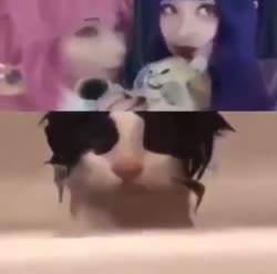 167396564296.mp4
