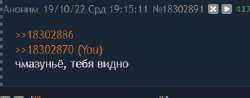 1666196143800.png