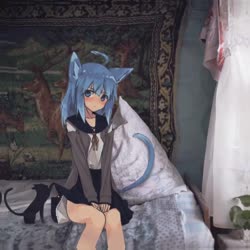 16577038900540.mp4