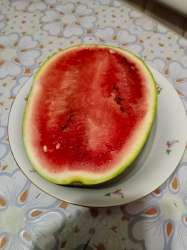 IMG-20221031-WA0002.jpg