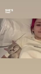 C34AE3456483F7901E8EE65A7EDF539Fvideodashinit.mp4
