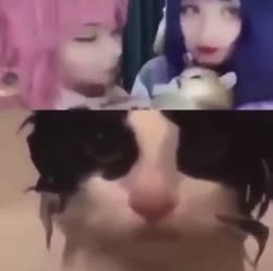 16670787623650.mp4