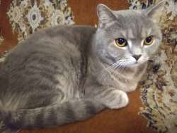 IMG20221104182752265.jpg