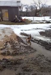 1621127110666.mp4