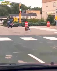 16509717220940.mp4