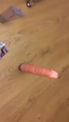 15880750059520.mp4