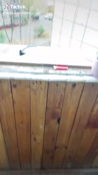 16205798893000.mp4