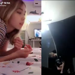 16104774899802.mp4