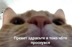 Без названия.jpeg