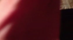16263461956470.webm