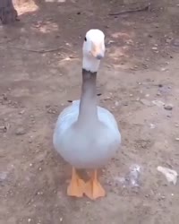 1557637917129.mp4