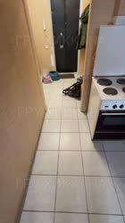 VID20221113204043880(0).mp4