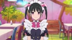 1644166034527.webm