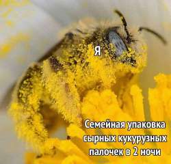 IMG20221122010456718.jpg