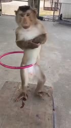 16691290056011.mp4
