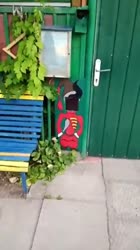 1571724117852.mp4
