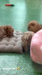 8C410A60F5D807.mp4