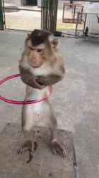 16691290056011.mp4