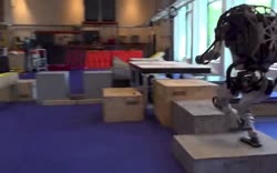 166928078110614304.mp4