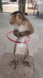 16691290056011.mp4