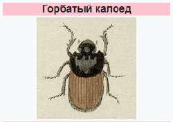 1670061787311.png