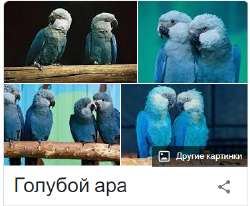 1516863423611.png