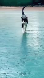 1557717917585.MP4