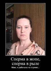 dem638b5068f0f80.png