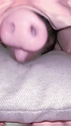 1671870474990.mp4