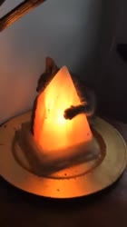16285221521861.webm