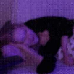 1578435663569.gif