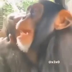16409660797620.webm