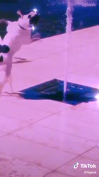 16484538891830.mp4